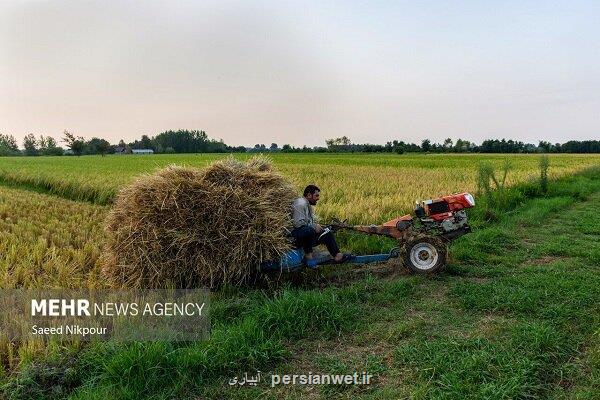 ضرورت اصلاح الگوی کشت و مدیریت هوشمند منابع آب در کشاورزی