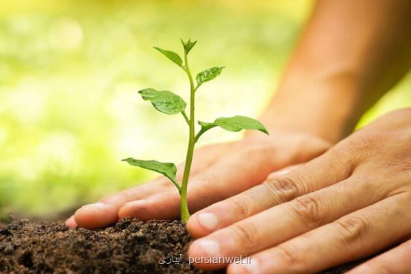 تشدید نظارت میدانی بر اجرای طرح کاشت یک میلیارد درخت