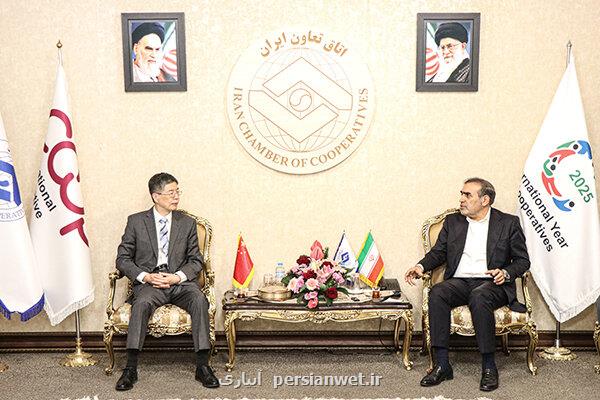 ایران و چین بر تشکیل کمیته مشترک تعاونی تاکید نمودند