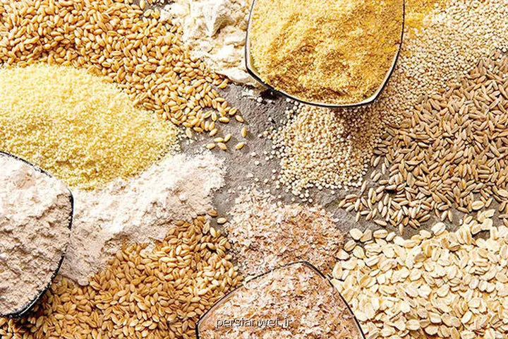 ۲ کشتی ۱۳۸ هزار تنی نهاده دامی در لنگرگاه در نوبت پهلو گیری هستند