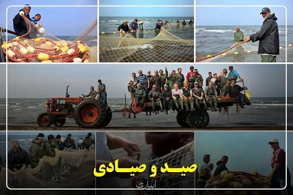 گیلان پیشتاز احیای ذخایر آبزی صید ماهیان استخوانی 40 درصد رشد کرد