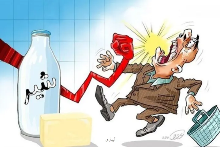 سخنگوی انجمن لبنیات در واکنش به گرانی این صنعت احتیاج به متولی خاص ندارد