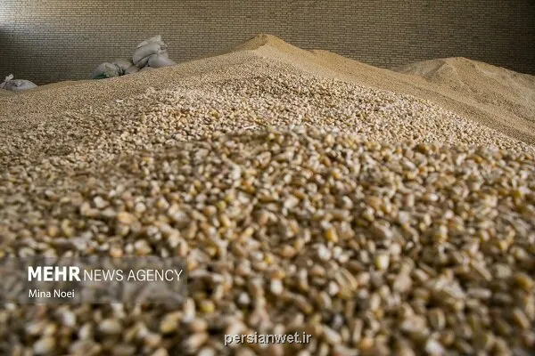 پژوهش و تفحص مسیر اصلاحات در زنجیره تأمین نهاده ها را هموار می کند