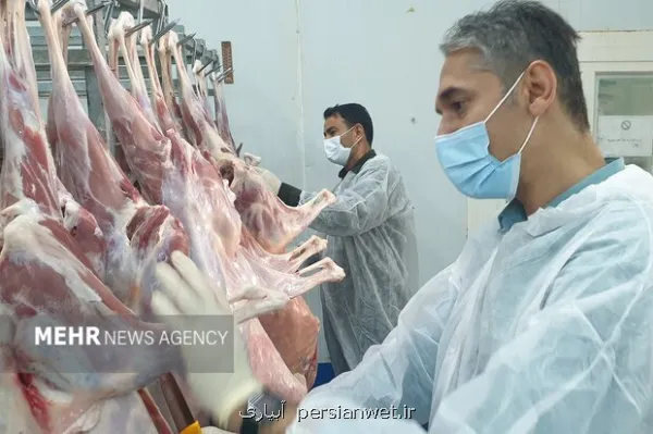 ۲۷ پروژه در حوزه دامپزشکی افتتاح خواهد شد