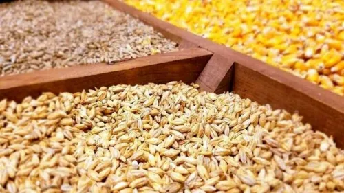 توزیع چالش کشاورزان در تامین نهاده های کشاورزی