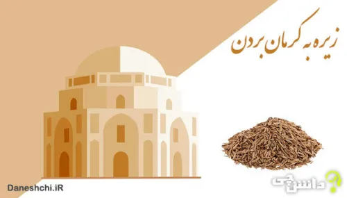 این دفعه اگر به کرمان سفر کردید، حتما بعنوان سوغات، زیره ببرید!