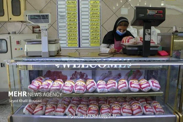 عرضه مرغ تا هفته بعد متعادل می شود