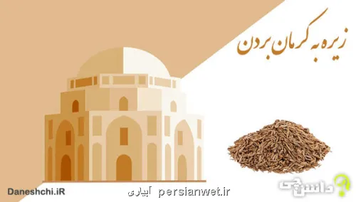 این دفعه اگر به کرمان سفر کردید، حتما بعنوان سوغات، زیره ببرید!