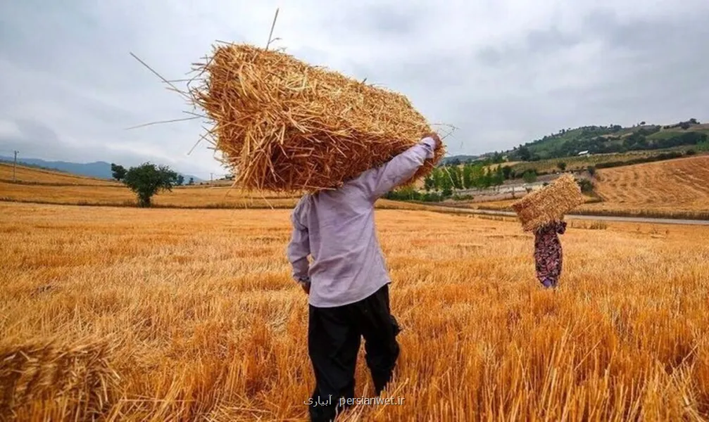 خبر جدید برای کشاورزان