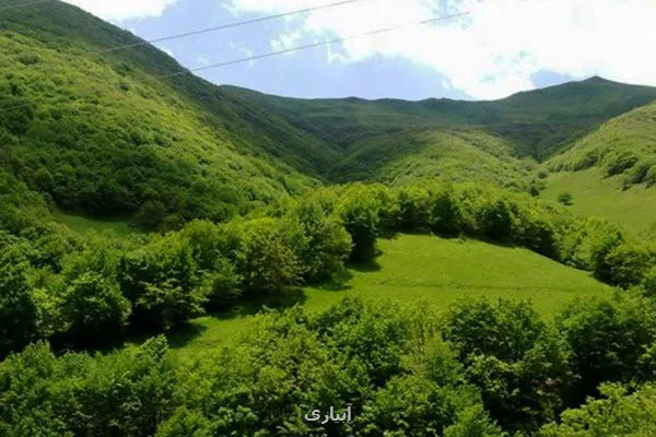 تأکید بر پیش گیری از وقوع تخلفات و صیانت از منابع طبیعی