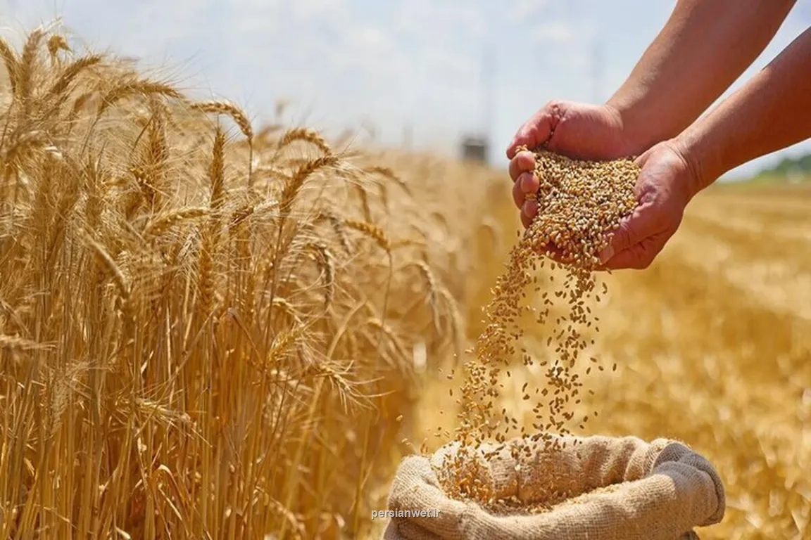 قیمت گندم تغییر نمود