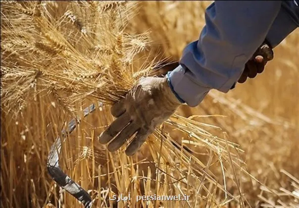 تازه ترین خبر برای گندمکاران