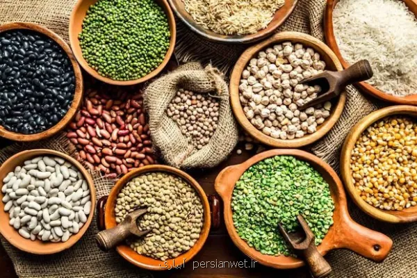 شروع ثبت سفارش حبوبات