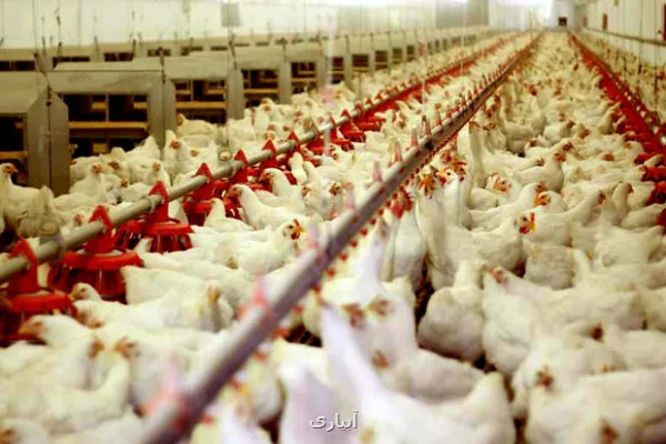 ضمانت نامه های ایستا پاسخگوی نیاز زنجیره تامین نیستند