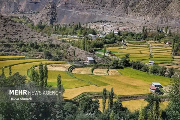 آب و خاک سالم در کنار تغذیه سالم مهمست