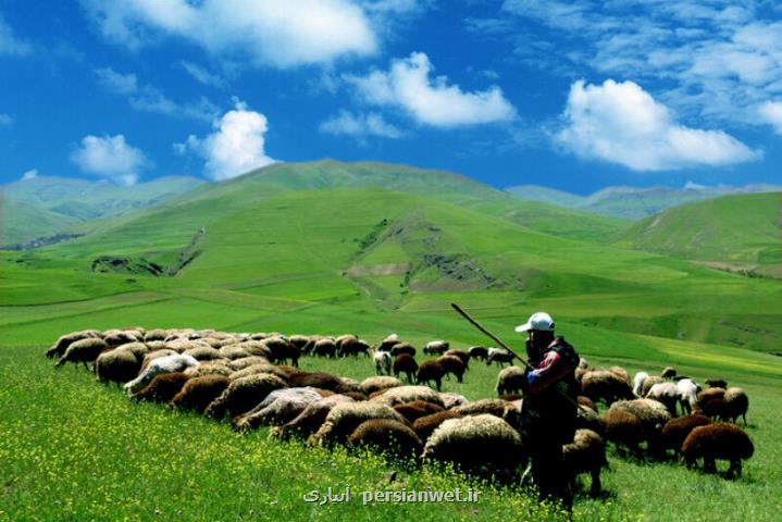 مشتاقان تولید در جلگه جازموریان