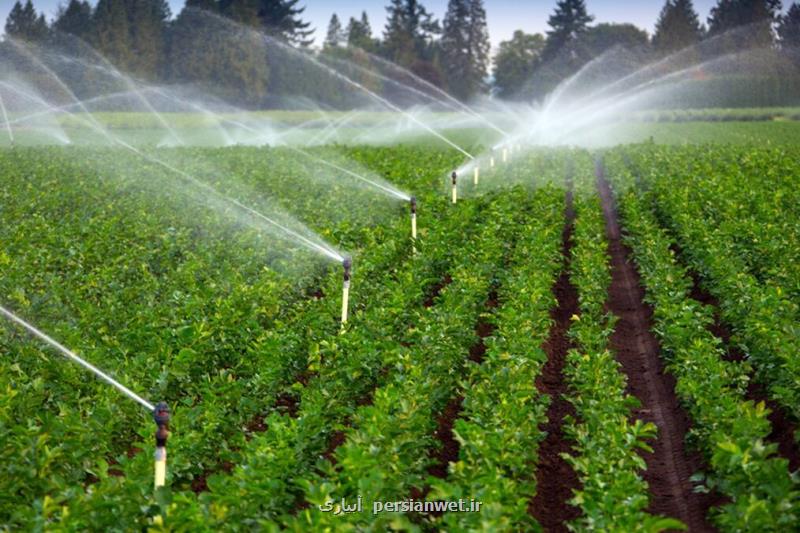 آبیاری نوین كشاورزی راهبرد افزایش محصولات و بهینه سازی مصرف آب در سمنان