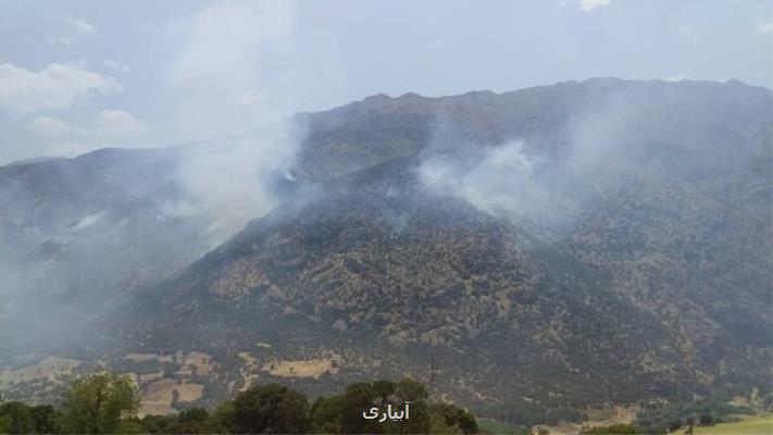 ۱۷ هكتار از جنگل های سروآباد كردستان در آتش سوخت