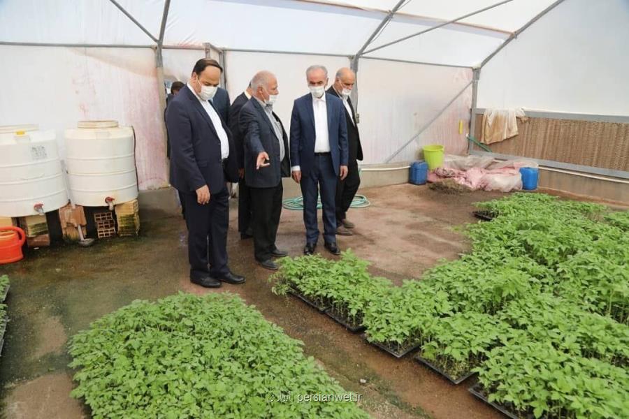 سرمایه گذاری 18 هزار میلیارد ریالی در گلخانه های منطقه آزاد ارس