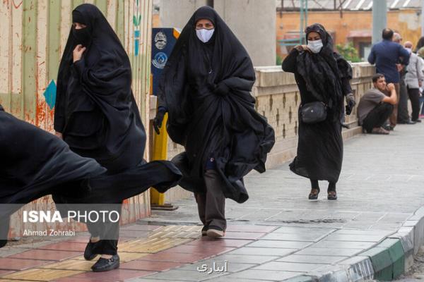 تداوم وزش باد شدید همراه با گرد و خاك در شرق و جنوب شرق كشور