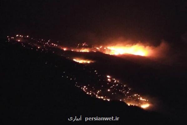 آتش سوزی گسترده در جنگل های كوه سفید كهگیلویه و بویراحمد