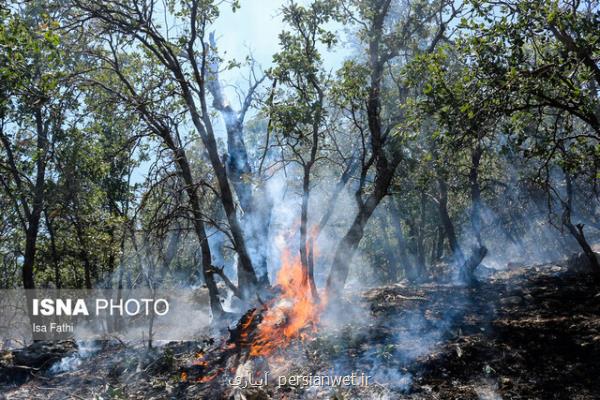 آتش سوزی جنگل های كوه سفید لنده مهار گشت