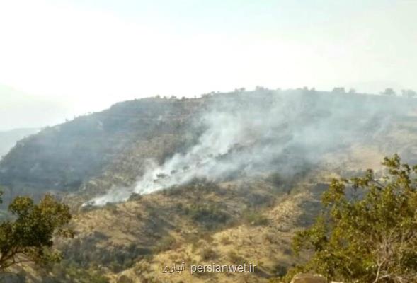 مهار كامل آتش سوزی جنگل های گچساران بعد از 4 شبانه روز