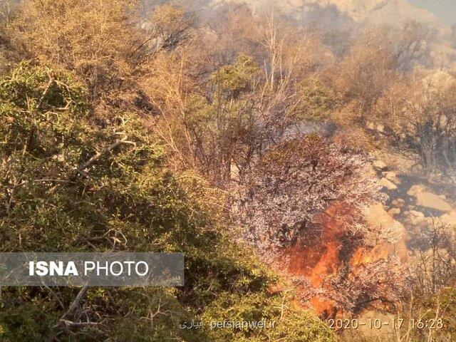 مهار آتش سوزی جنگل ها و مراتع كوه نور چرام پس از ۶ شبانه روز