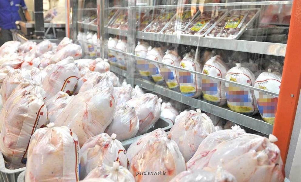 تسلیم بازار مرغ مازندران مقابل قیمت ستاد تنظیم