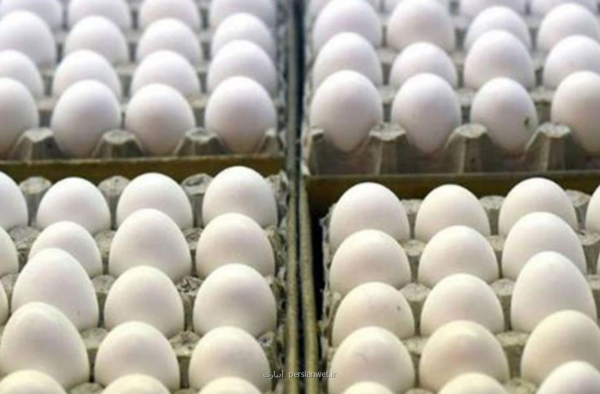 ۳۰ تن تخم مرغ روزانه با قیمت مصوب در استان سمنان توزیع می شود