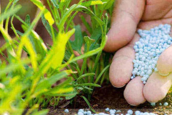 افزایش 30 درصدی تحویل كود اوره پتروشیمی ها به بخش كشاورزی